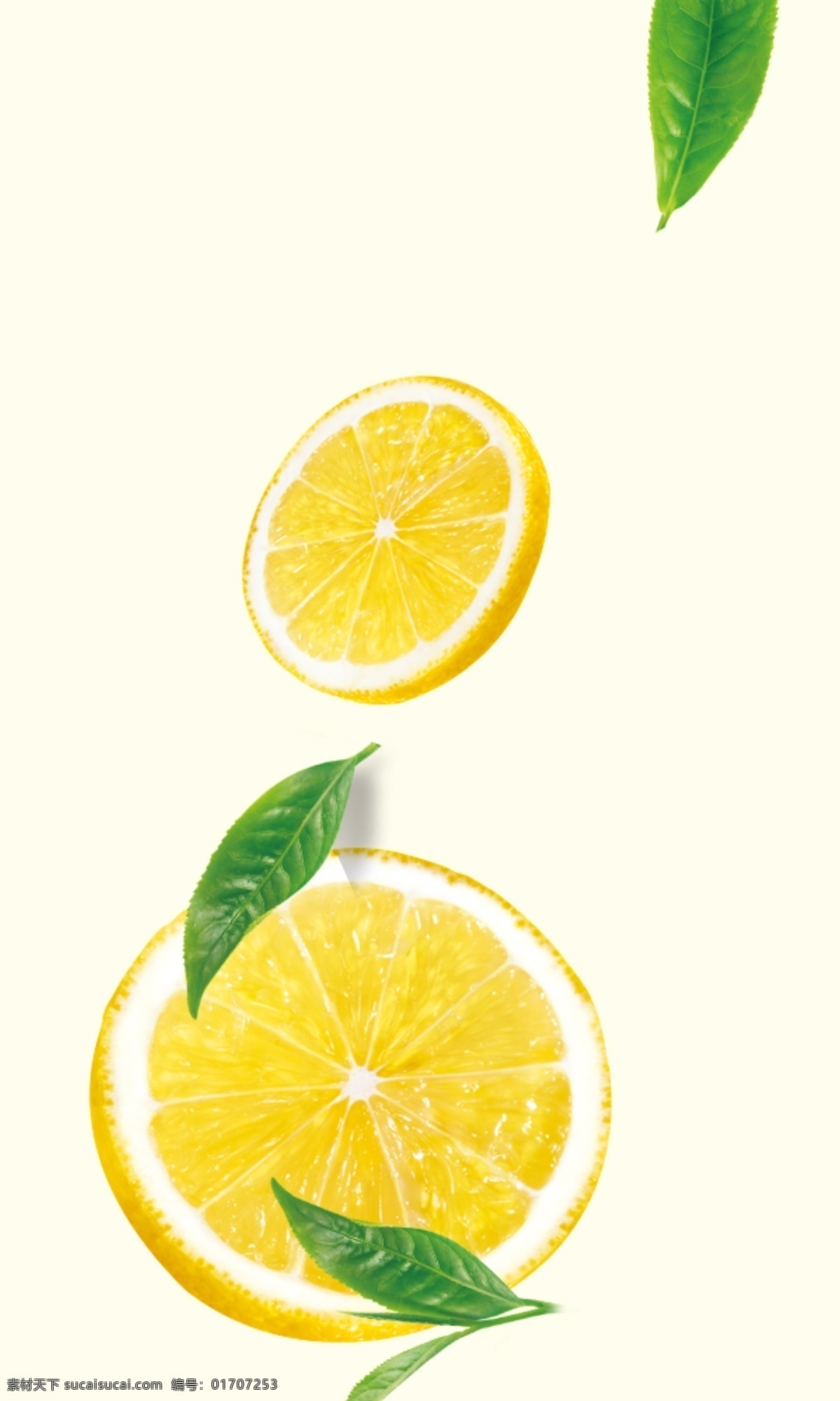 柠檬片和茶叶 柠檬片 茶叶 柠檬片素材 茶叶素材