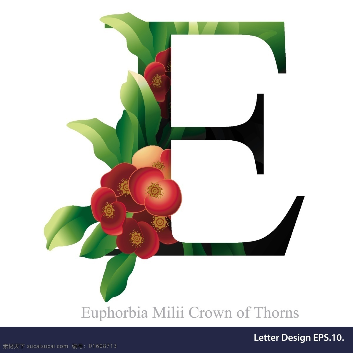 花朵字母 英文 字体 字母 美术体 花 花朵字 花卉插画 各种花型 植物花 字母花 艺术字母花朵 花朵 花朵纹理 服装花型 鲜花 花草 生物世界