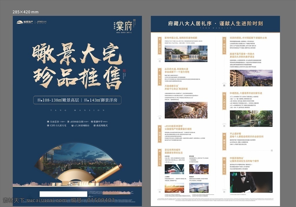 dm单 地产 物料 广告 印刷 海报 棠fu