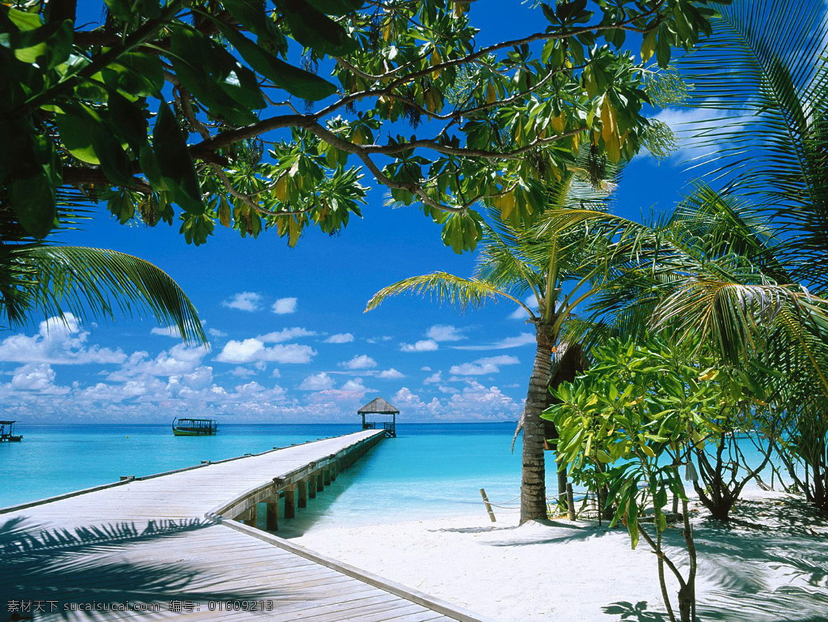 海洋风景 太平洋 大海 蓝天 白云 沙滩 椰树 水榭 木桥 自然景观 自然风景 摄影图库