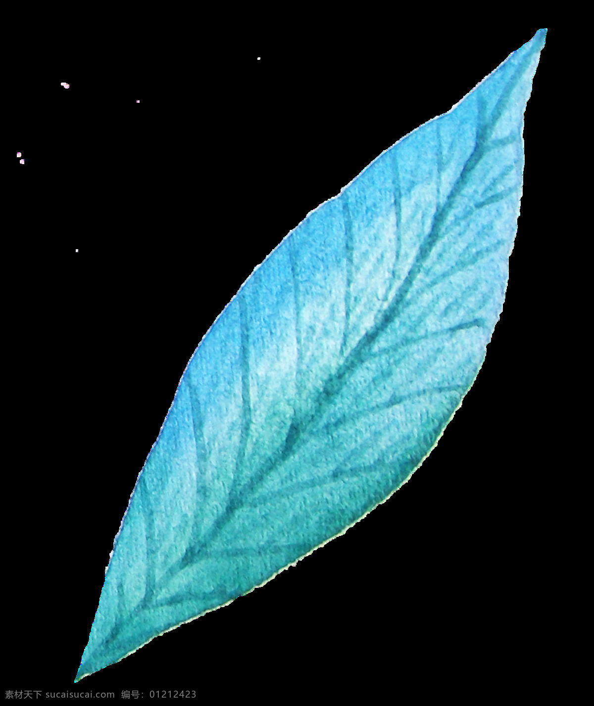 薄荷 蓝叶 透明 叶子 植物 透明素材 免扣素材 装饰图案