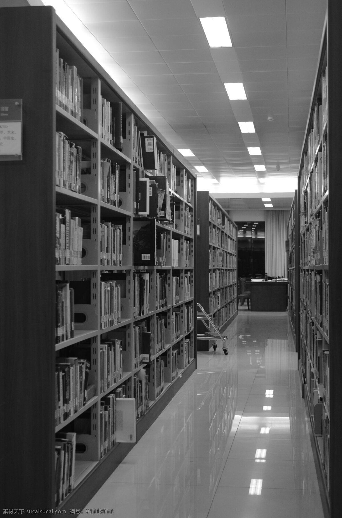 图书馆 安静 黑白 生活百科 书 书架 压抑 空灵 学习办公 psd源文件