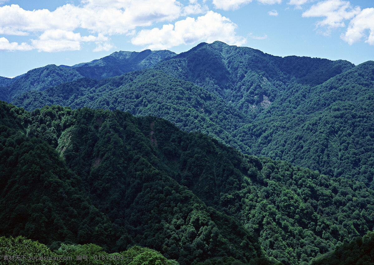 绿色大山 树林 树木 森林 树 高山 大山 山 山峰 山坡 自然景观 山水风景 高山大山 摄影图库