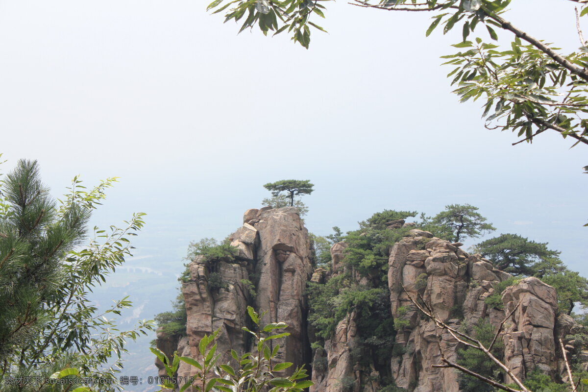 临沂蒙山风景 临沂蒙山 迎客松 奇石 石头 树木 自然风光 自然风景 自然景观