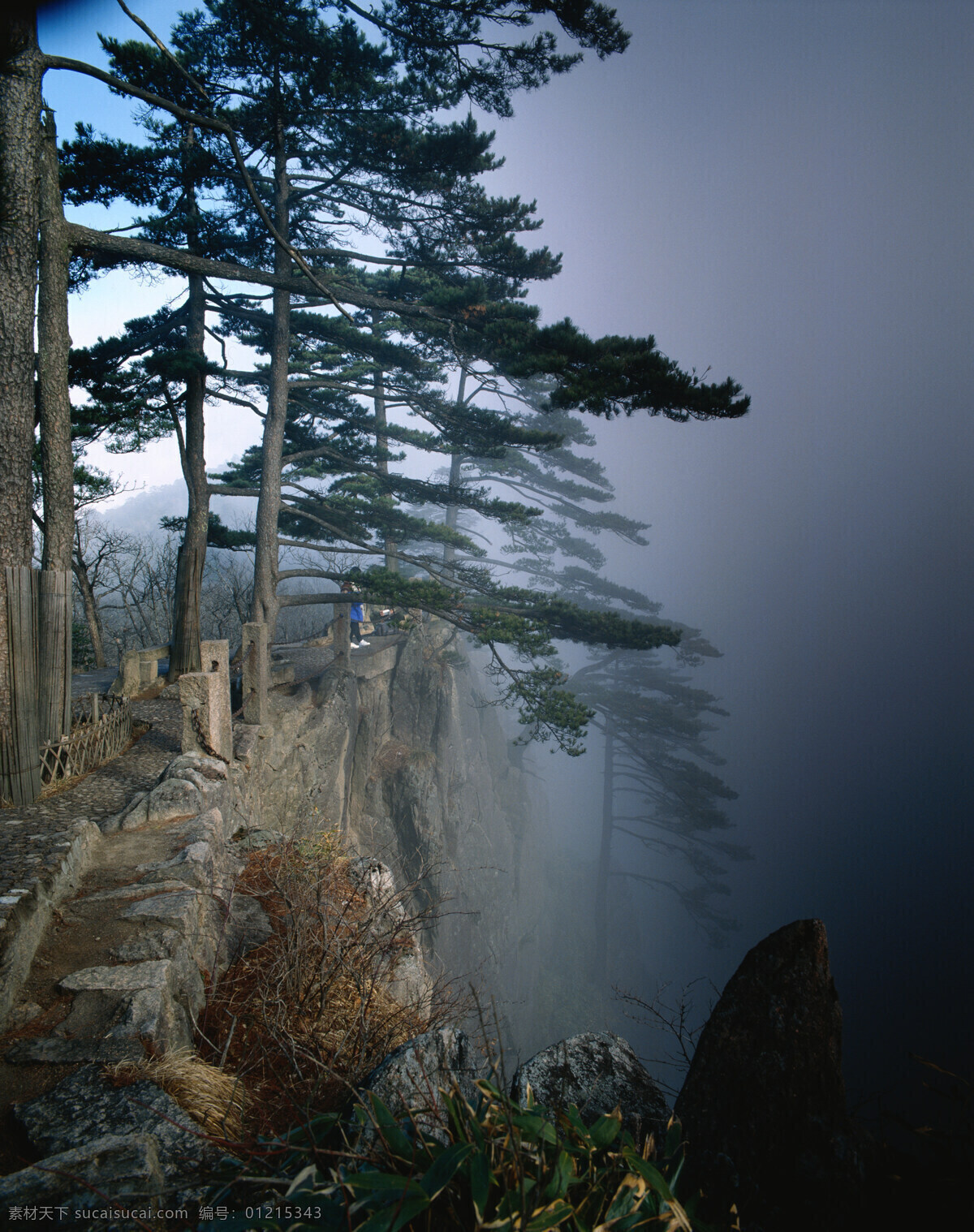 旅游景区 大自然 自然风景 美丽风景 美景 景色 风景摄影 旅游风景 旅游奇观 奇山怪石 迎客松 山水风景 风景图片