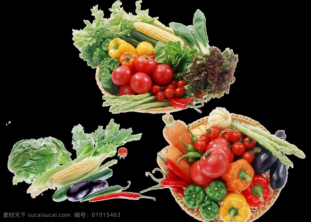 蔬菜篮子 蔬菜 西红柿 茄子 冬瓜 青椒 才华 玉米 黄瓜 胡萝卜 青菜 芹菜 生物世界