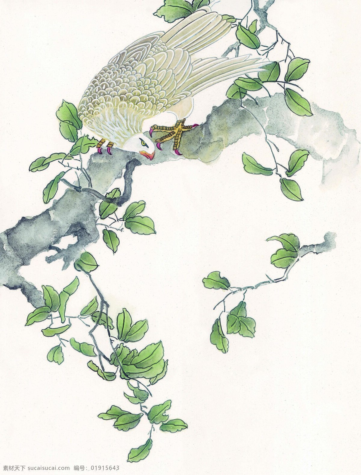 花鸟 中国画 书画 美术 设计素材 花鸟画篇 中国画篇 书画美术 白色