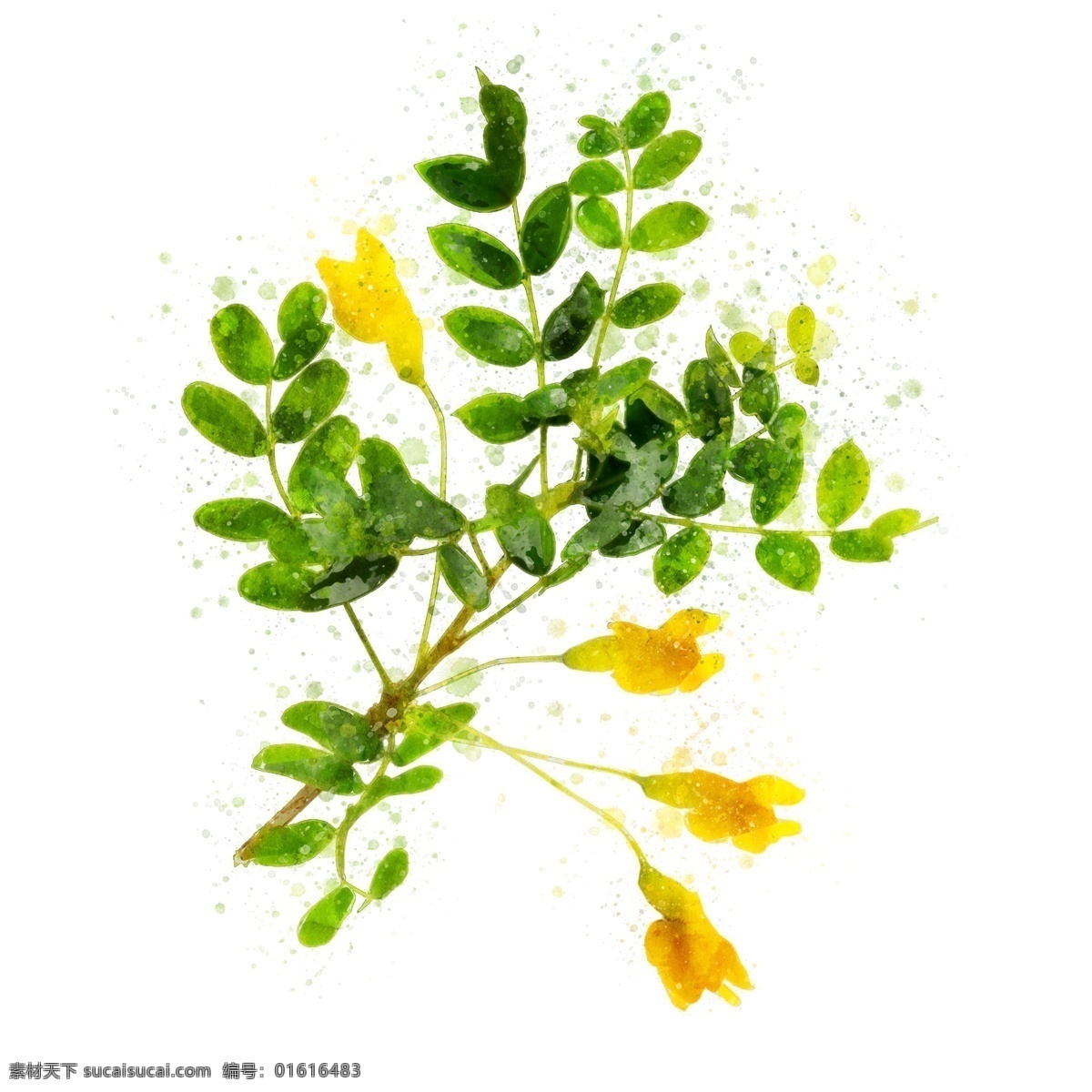 抽象 手绘 黄色 花卉 植物 水彩 元素 原创 手绘元素 花卉元素 水彩元素