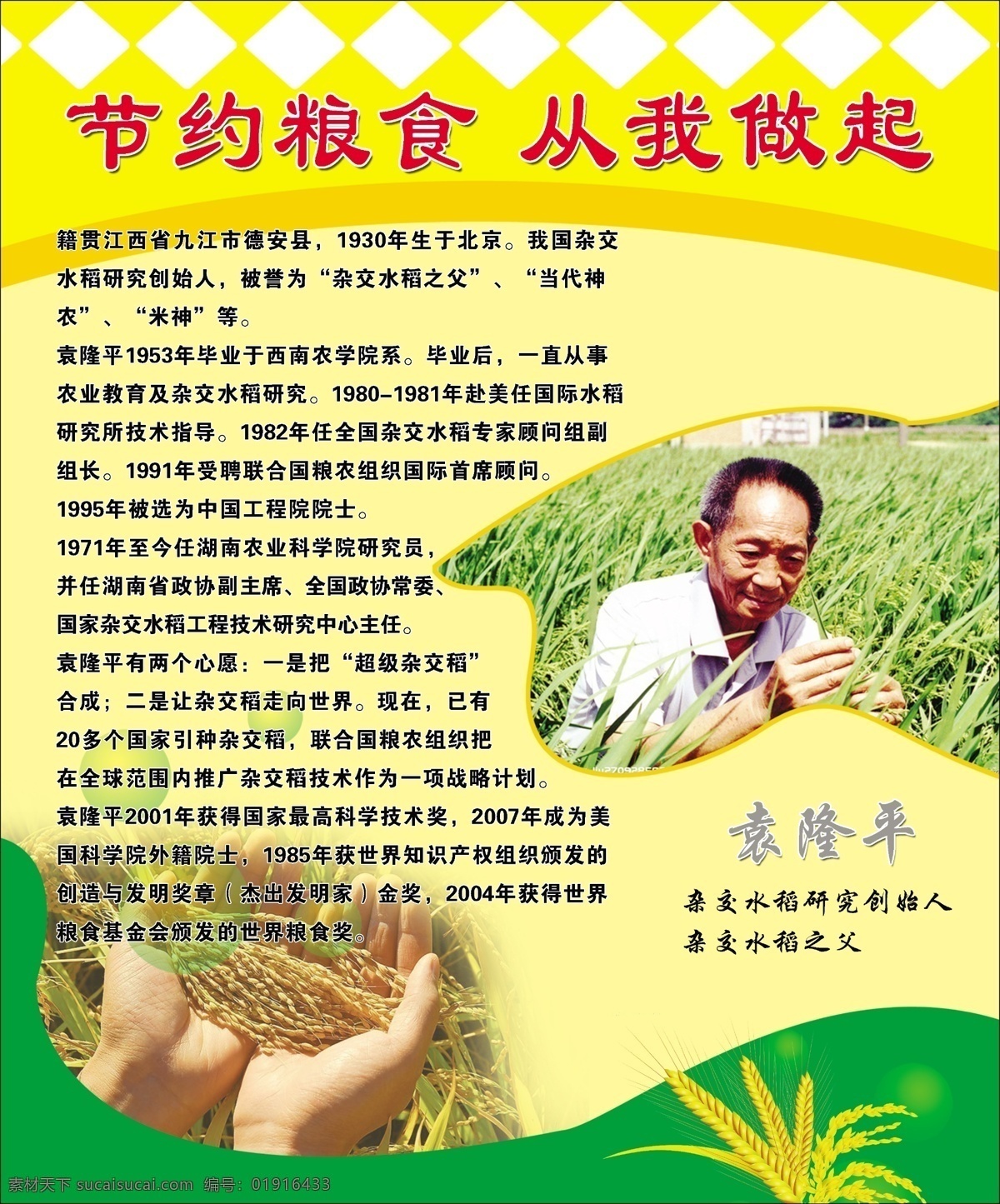 袁隆平 水稻 杂交 农民 大米 粮食 节约 手 展板 分层 源文件