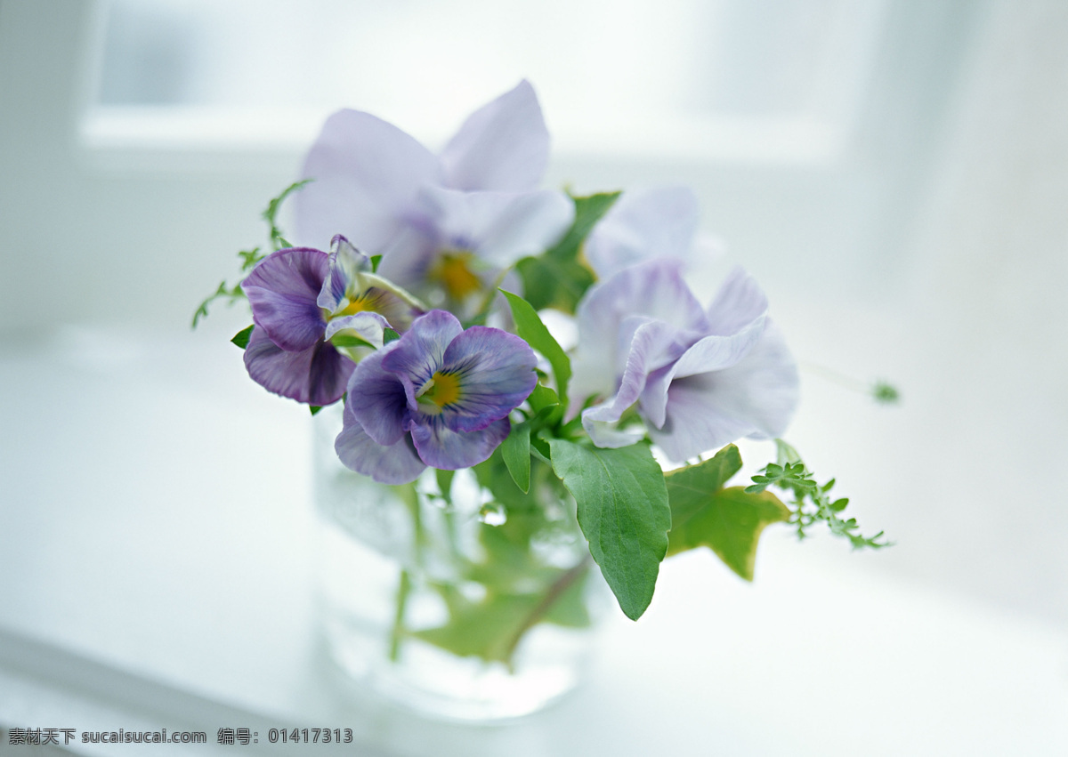 紫色 小花 白色花 玻璃杯 花 花瓶 花特写 花写真 摄影图 微距 叶子 高精度图 生物世界