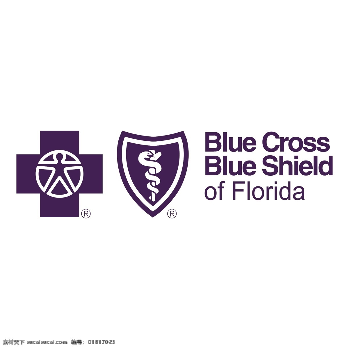 盾牌 蓝 蓝色 蓝十字 十字交叉 蓝色的盾牌 佛罗里达州 十字 蓝盾 标志 蓝十字蓝盾 矢量蓝十字蓝 矢量图 建筑家居