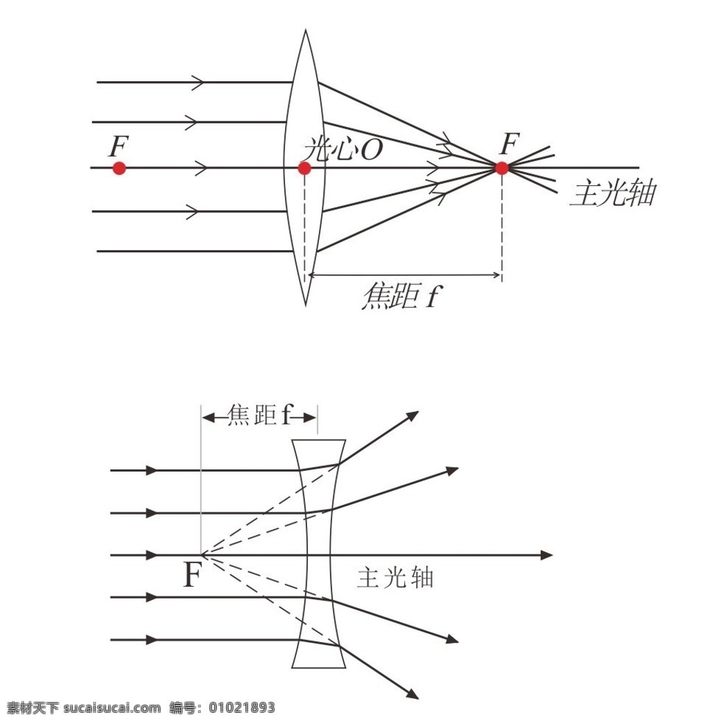 成像规律 成像原理 凸透镜 凹透镜 焦点 焦距 原理图 矢量素材 其他矢量 矢量