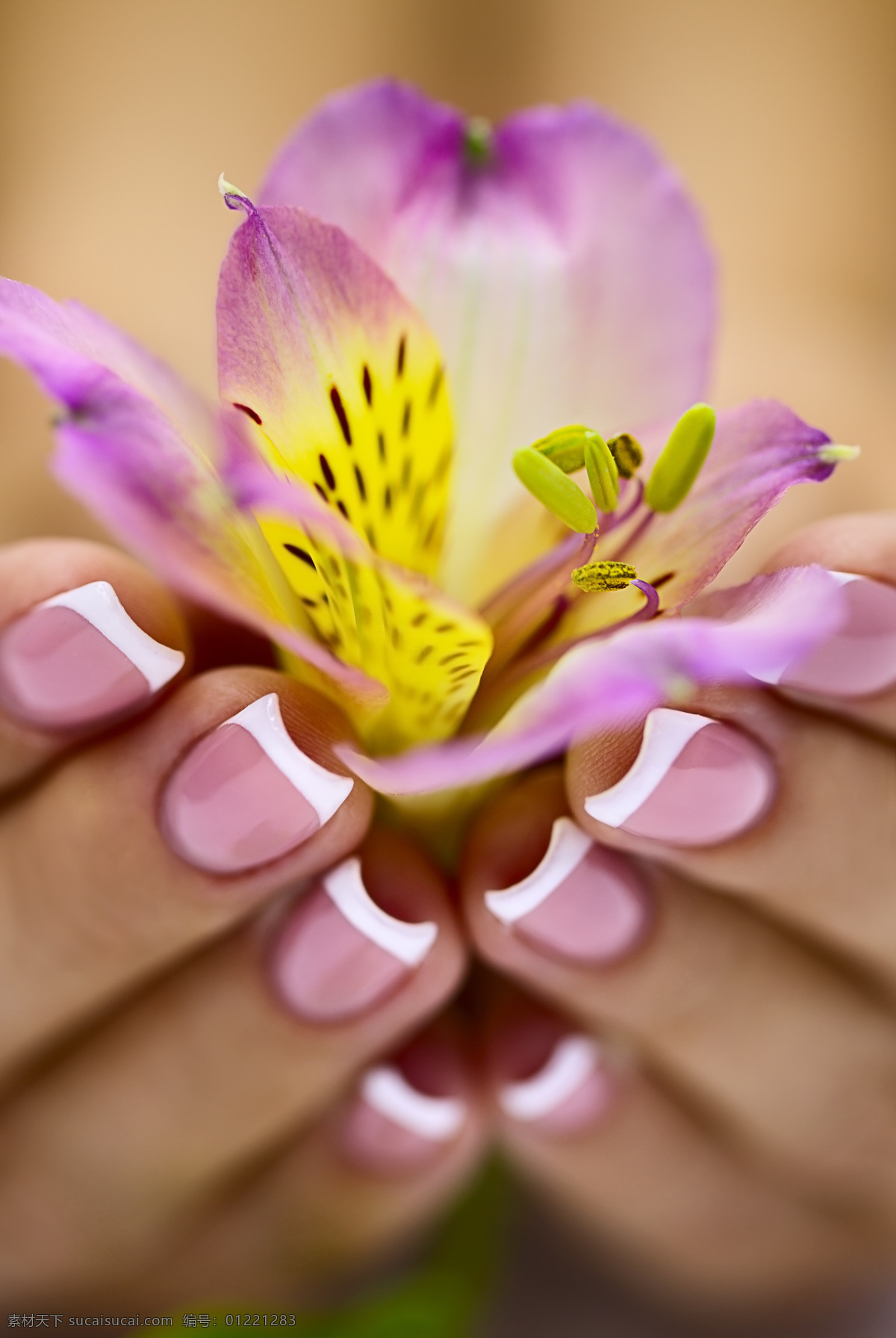 美甲 花朵 高清 指甲美容 手指 指甲油 指甲 特写