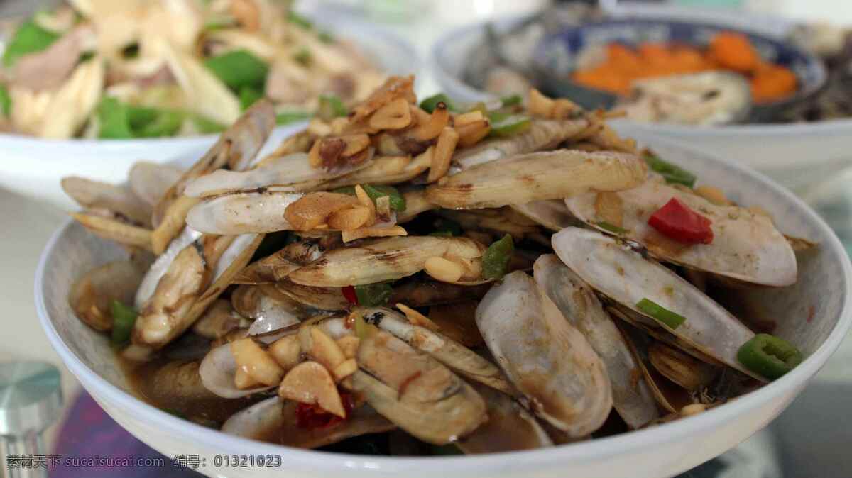 蛏子 贝壳类 软体动物 美食 海产 餐饮美食 传统美食