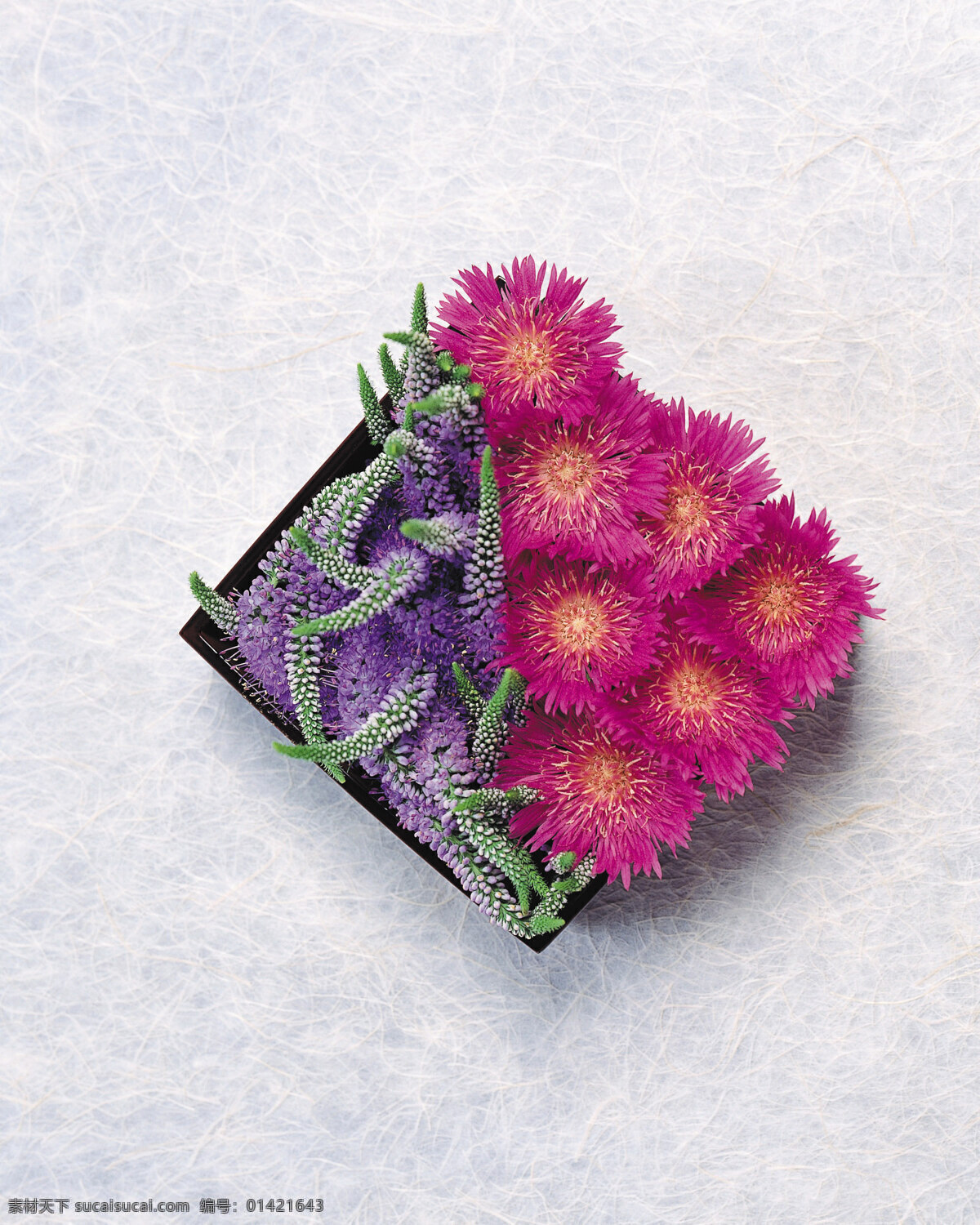 美丽 插花 花朵 花卉 菊花 紫色花卉 紫红色菊花 花卉造型 风景 生活 旅游餐饮