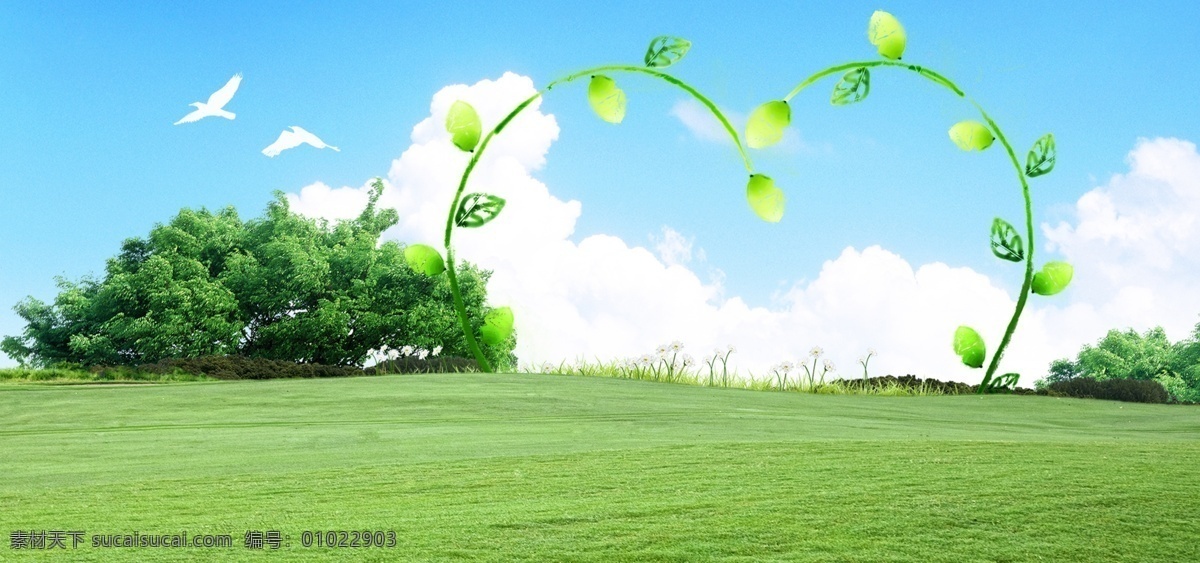 蓝天 白云 藤条 爱心 绿 草地 banner 背景 小清新 简约 绿草地 树木 大自然 海报 文艺