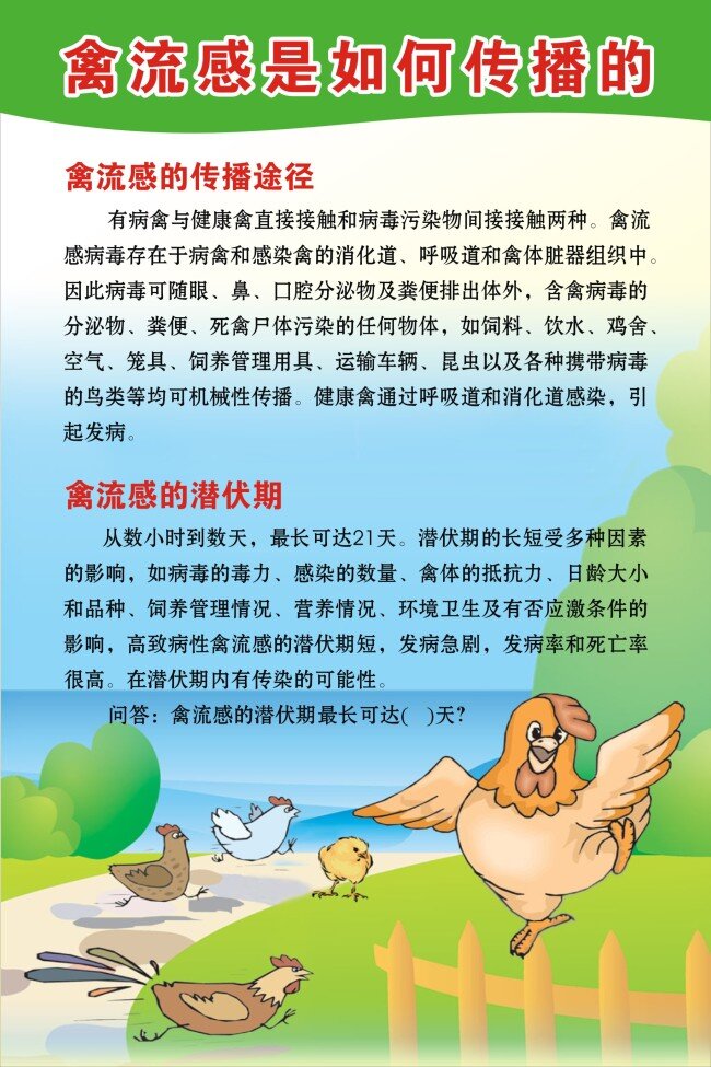 禽流感 如何 传播 蓝色 绿色 招贴画 展板 医院展板设计