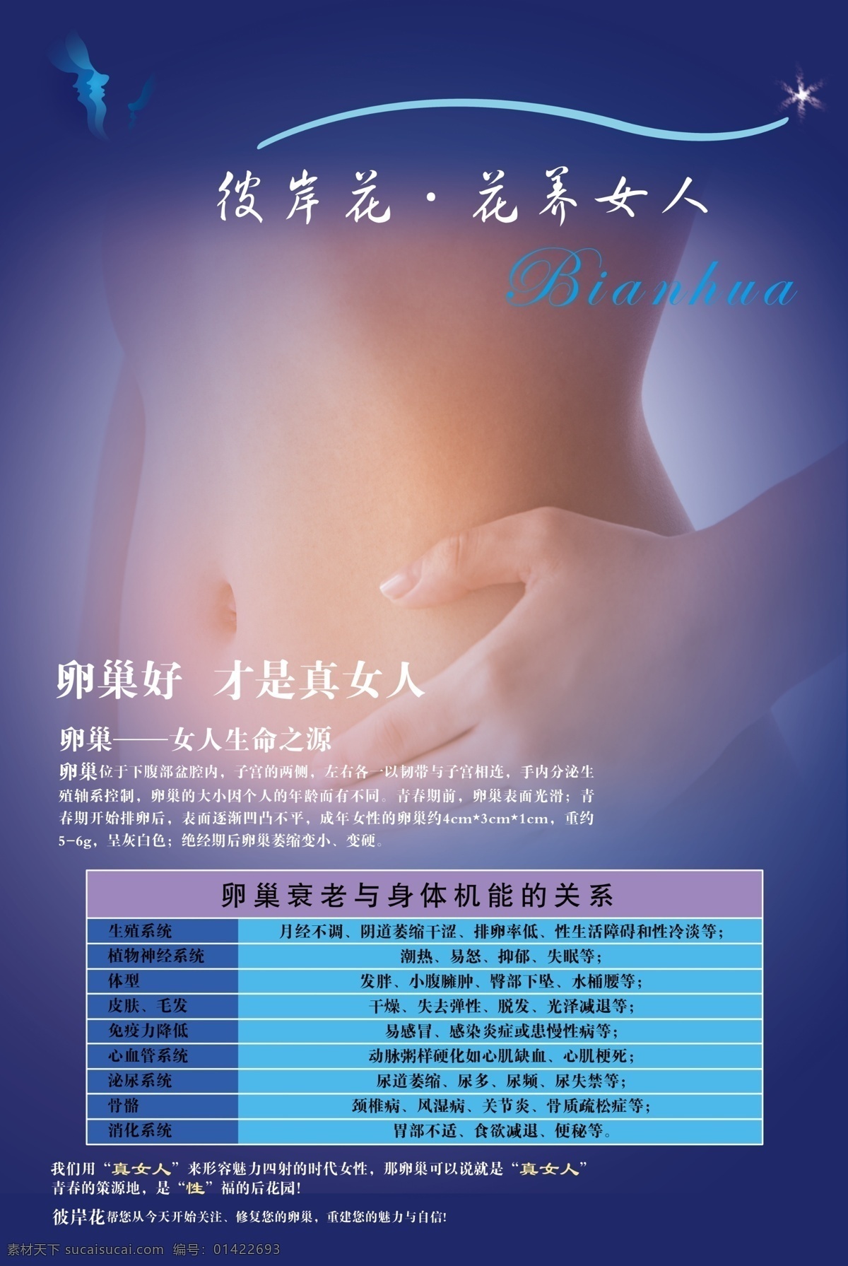 卵巢保养 海报 养生 女性 卵巢 广告 psd分层库 分层 源文件