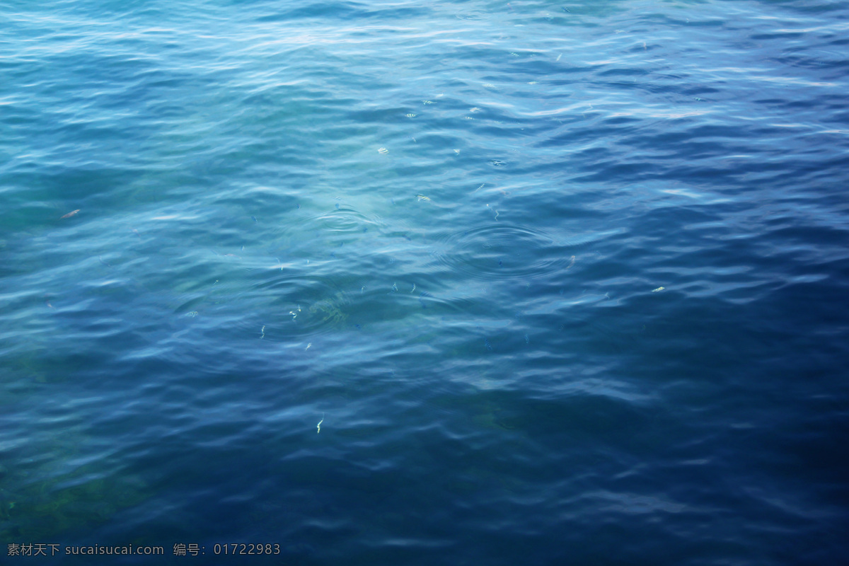 海水 海 水 鱼 蓝色 海洋 自然景观 山水风景