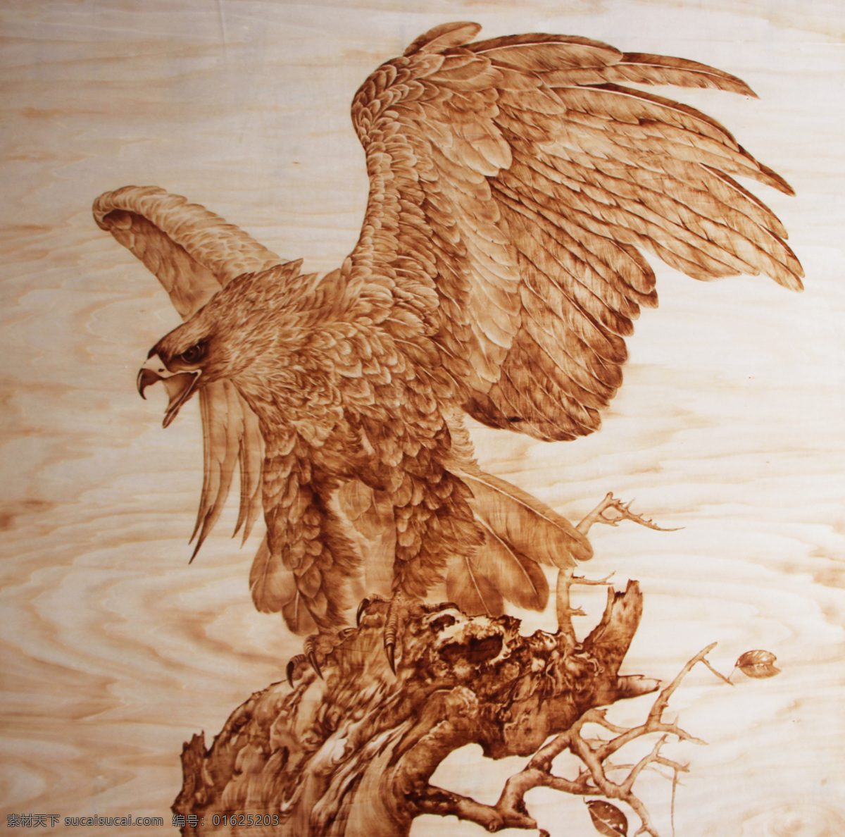 椴木 木板烙画 鹰 枯树 木纹 文化艺术 传统文化