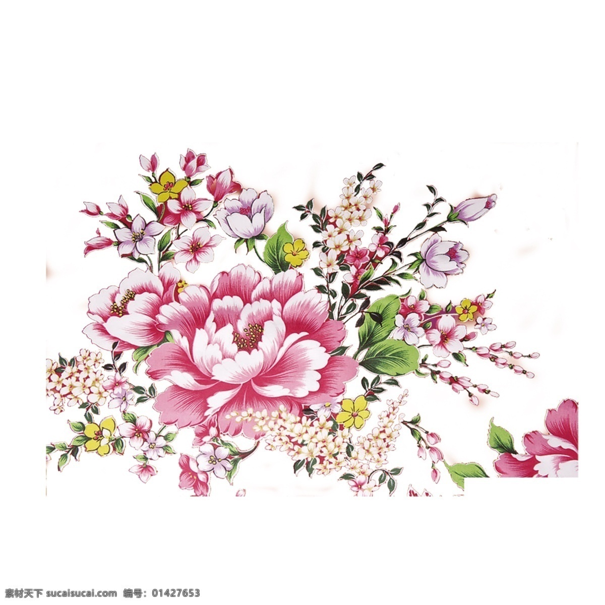 牡丹花 粉红牡丹 花中之王 源文件