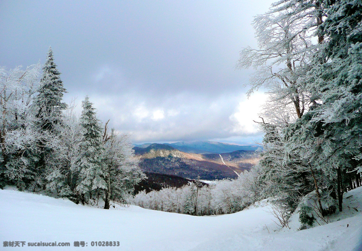 日照滑雪场 雪山 雾凇 雪挂 日照远山 国外旅游 旅游摄影