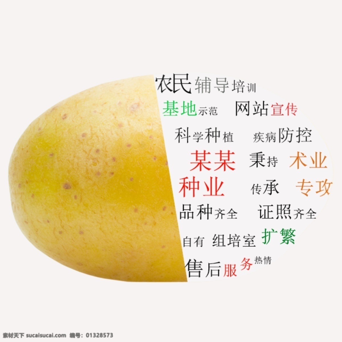 一半 富有 内容 土豆 宣传图 海报 文字图形 种子 种业 马铃薯 文字 图形 蒙版