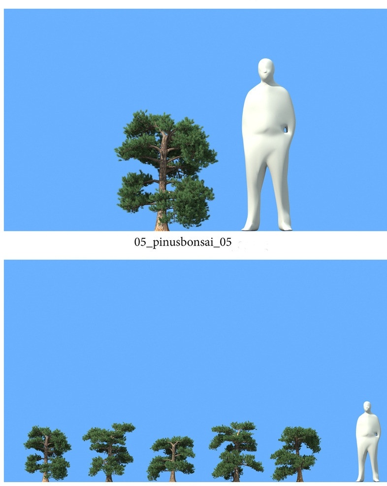松树模型 植物模型 景观 园林 户外 景观植物 松树 树木模型 vray模型 模型 植物模型合辑 展示模型 3d设计模型 源文件 max