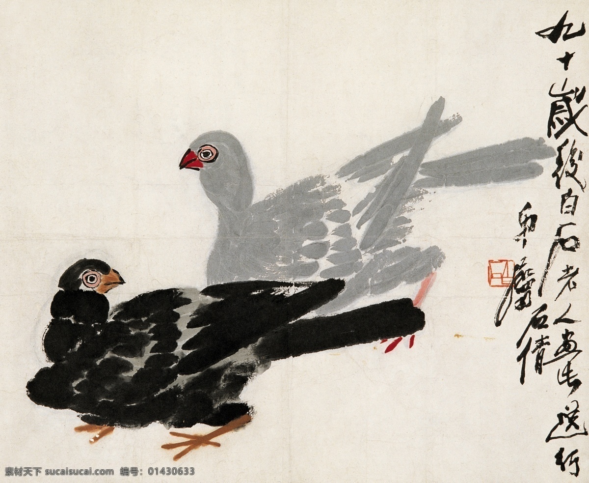 动物 飞禽 鸽子 工笔画 国画 绘画书法 鸟类 齐白石 设计素材 模板下载 齐白石国画 信鸽 齐璜 水墨画 白石老人 写意 书画 文化艺术 印章 装饰素材 雕刻 图案