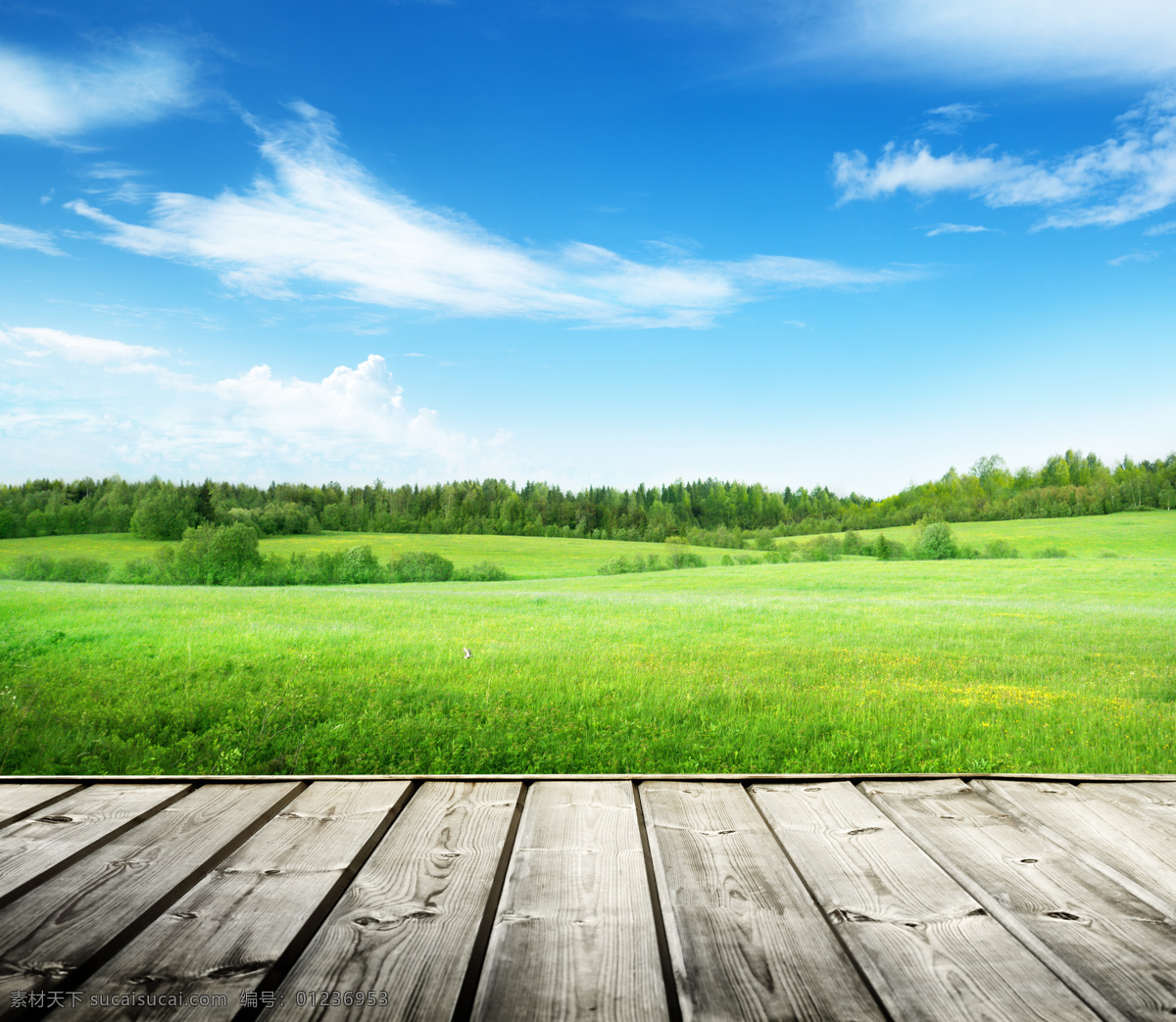 木板 草地 素材图片 木纹 蓝天 自然景观
