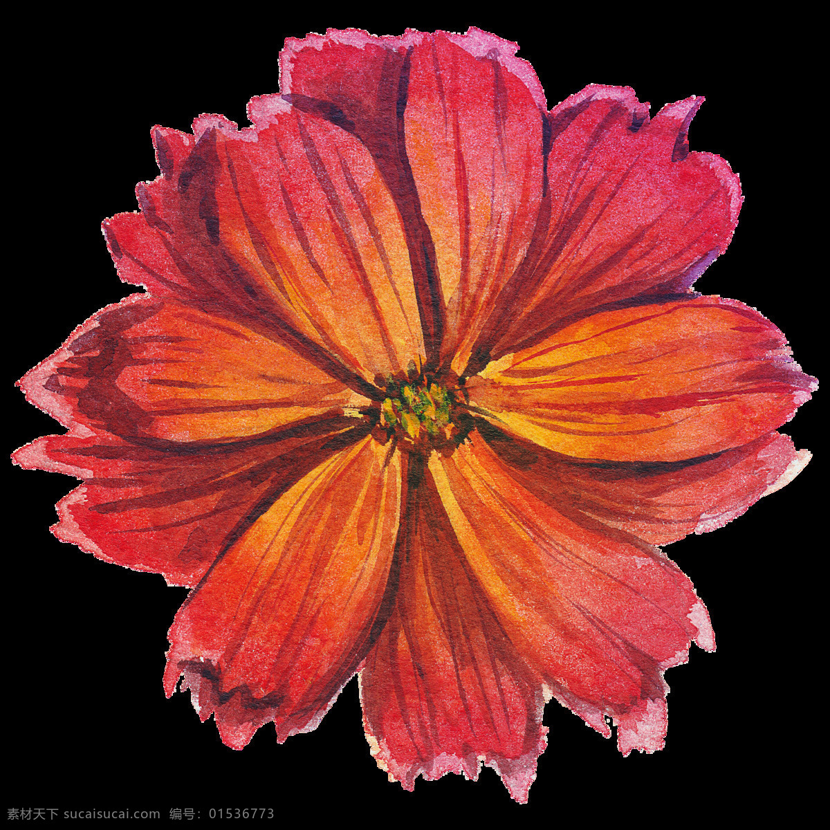 红色 花朵 水彩 透明 手绘 透明素材 免扣素材 装饰图案