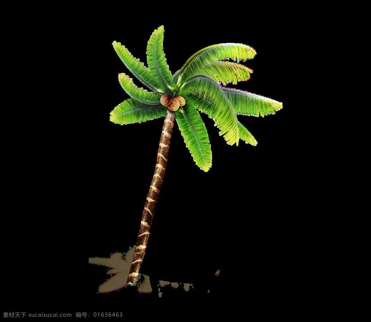 卡通 椰子树 元素 png元素 海报 海滩 免抠元素 透明元素 植物
