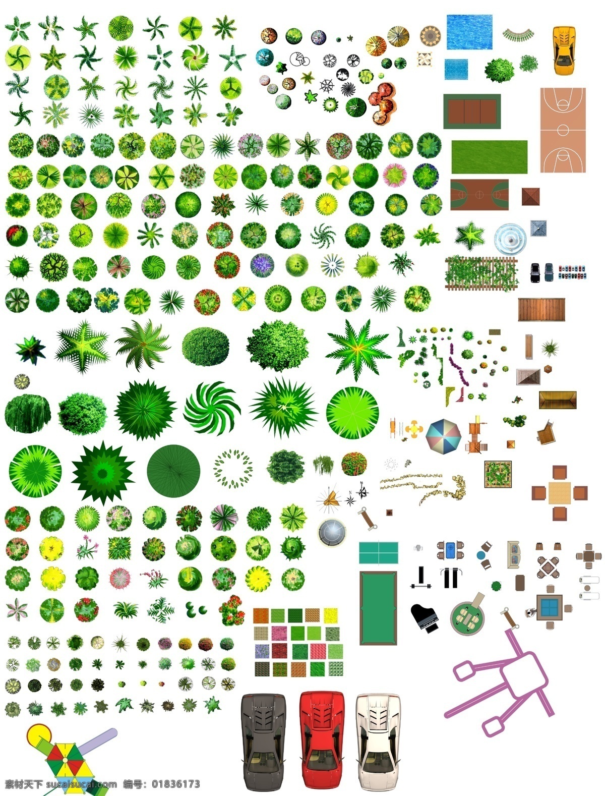 平面 彩图 树种 大全 平面树 总图 园林景观 手绘树 平面球场 效果图 源文件 环境设计 建筑设计