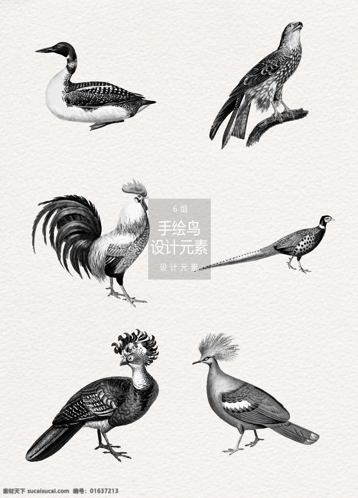 水墨 手绘 鸟 插画 元素 手绘鸟 鸟插画 水墨鸟 设计元素