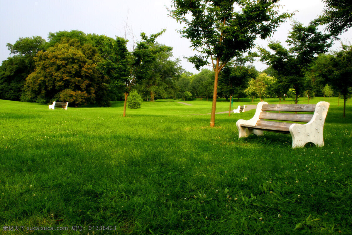 公园 草坪 长椅 建筑园林 摄影图库