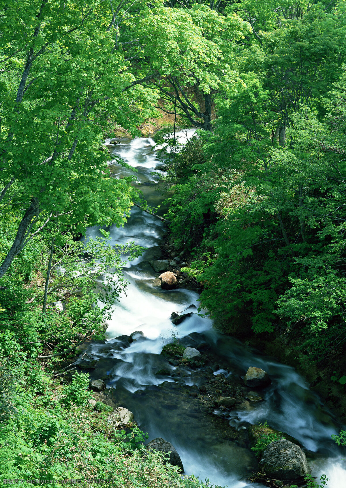 森林急流 晨雾 村庄 风景 风景背景 风景画 河流 湖泊 湖景 湖面 湖畔 山水风景 山峰 山水背景 山水风光 山坡 绿色背景 绿叶 绿草地 绿树 树木 树木大树 山林 森林 森林风景 森林公园 森林背景 景色 山景 秋天风景 自然风景 自然风光 自然景色 雾气 雾中的山 梯田 湖水风景 蓝天白云 花纹背景 花瓣 花草 花卉 花藤 蓝天草地 蓝天大海 野外 野外风景 夕阳风景 溪水 家居装饰素材 山水风景画