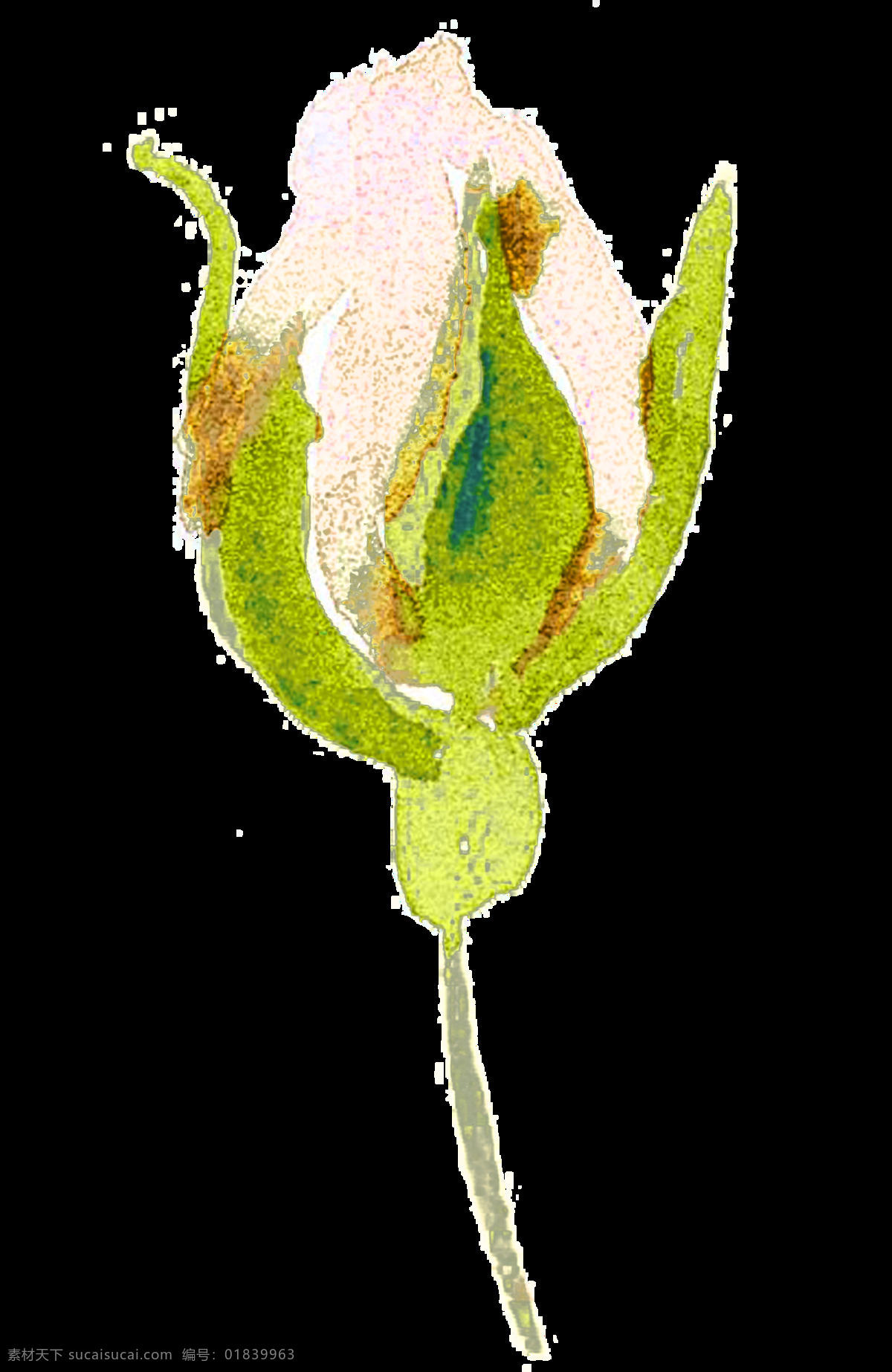 手绘 朵 晕染 花朵 透明 花苞 绿色 玫瑰 免扣素材 水彩 透明素材 叶子 装饰图案