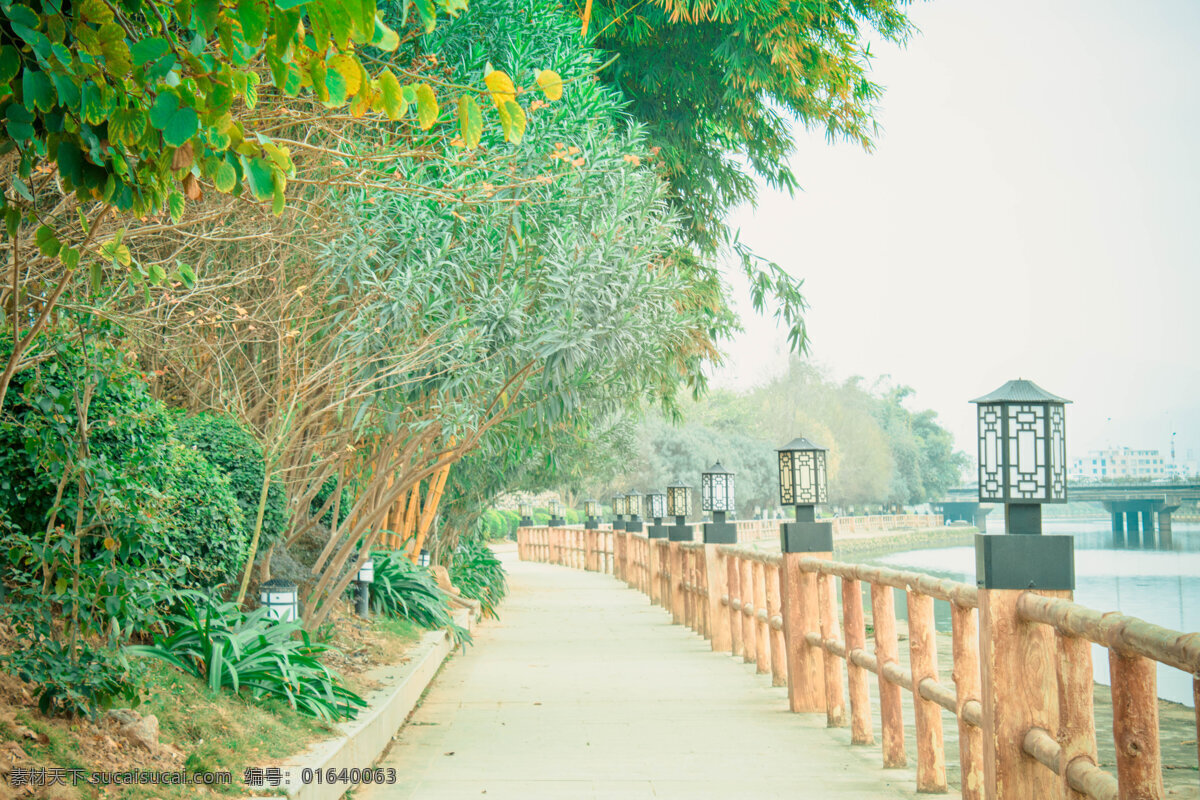 公园 河边 走道 商用 风景 风光 植物 路 围栏
