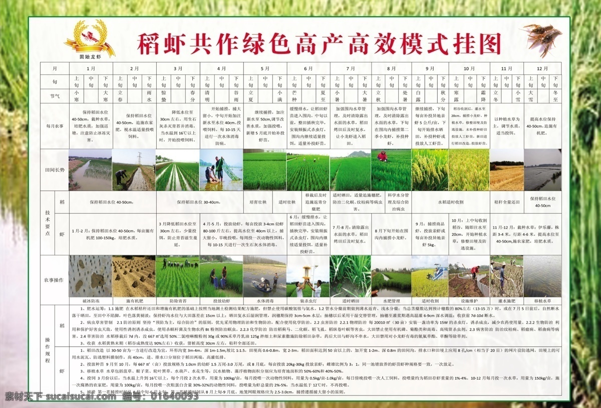稻 虾 共 作 绿色 高产 高效 模式 挂图 稻虾共作 稻虾共生 小龙虾 小龙虾养殖 养殖技术 龙虾养殖技术 养殖挂图