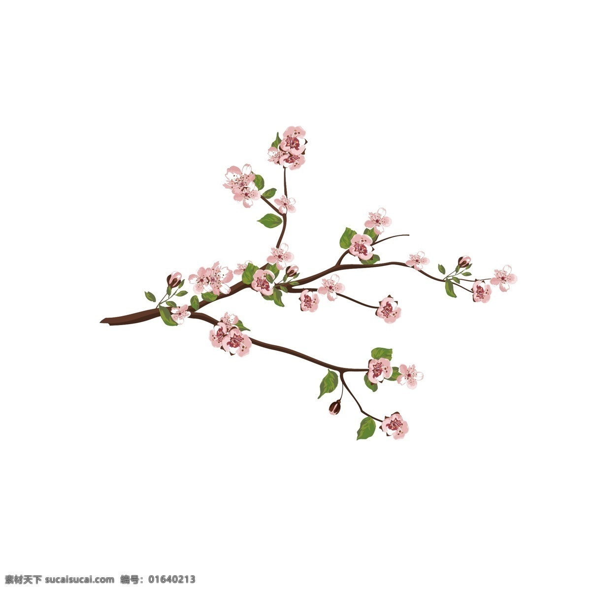 手绘 风水 彩 写实 春天 桃花 花枝 桃花枝 春天桃花 桃枝 植物 绿叶 水彩风