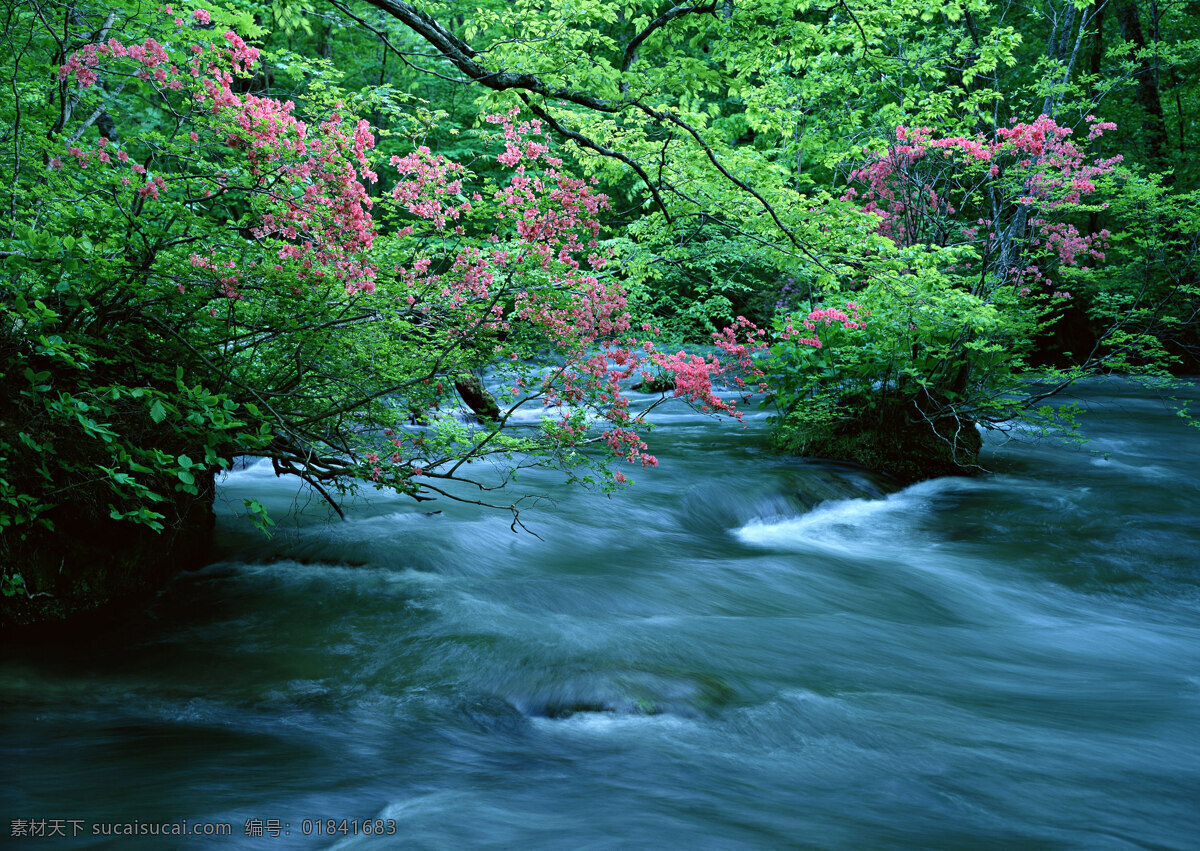 卡片 名片 背景 模板 山水风景 摄影图 自然景观 名片卡 其他名片