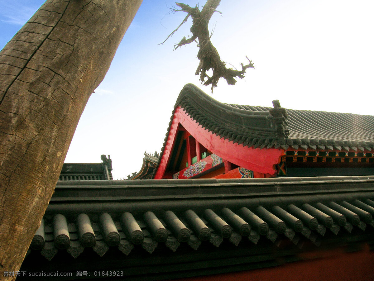 大昭寺 内蒙古 呼和浩特 玉泉区 文化古迹 旅游摄影 人文景观