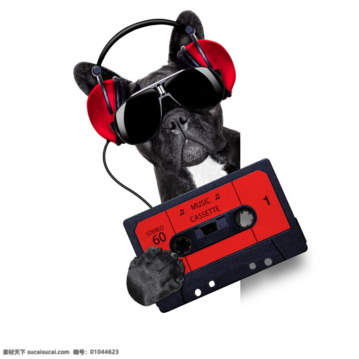 磁带 狗 音乐 耳机 宠物 动物 狗狗图片 生物世界