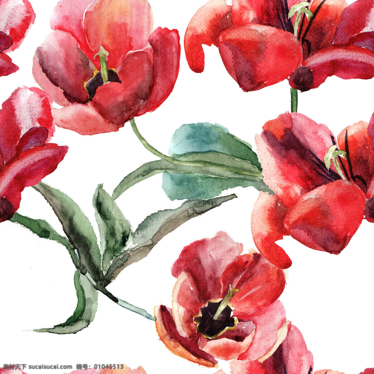 盛开 红色 罂粟花 水彩画 背景 素材图片 盛开的花朵 红色罂粟花 植物 花卉 背景素材 花草树木 生物世界