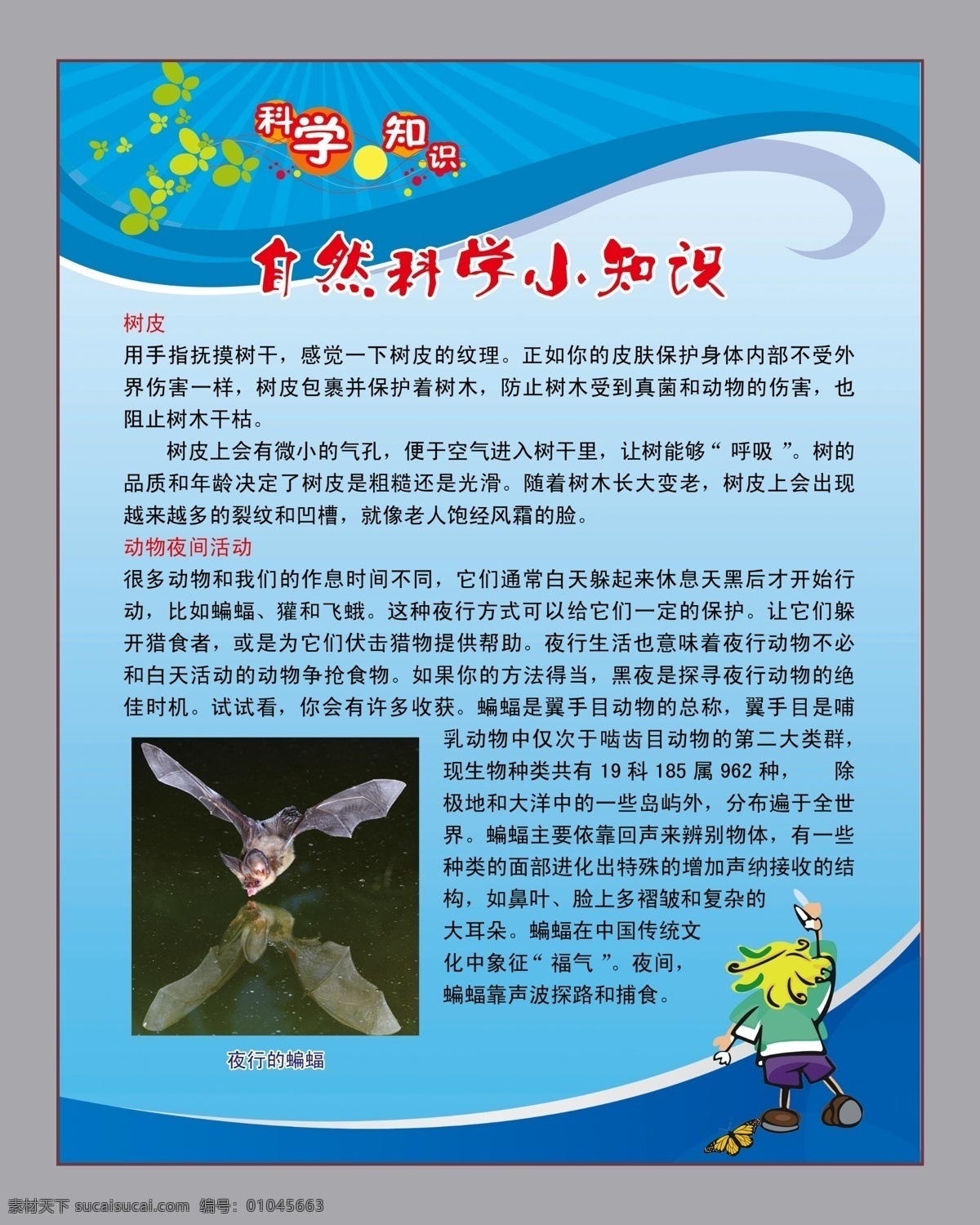 科学小知识 科学 知识 树皮 夜行蝙蝠 学校 走廊 文化 校园文化 走廊展板 展板模板 广告设计模板 源文件