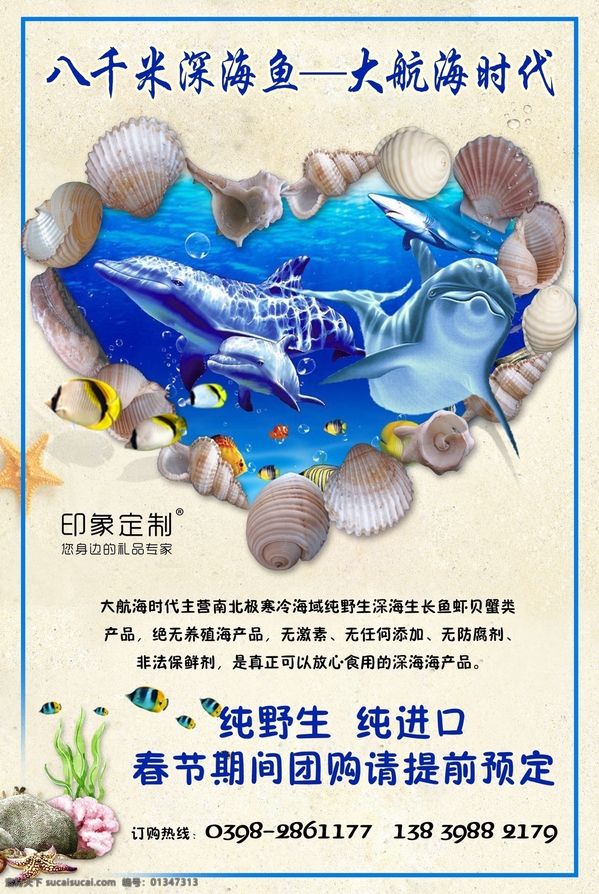 海洋 宣传 蓝色 贝壳 海洋生物