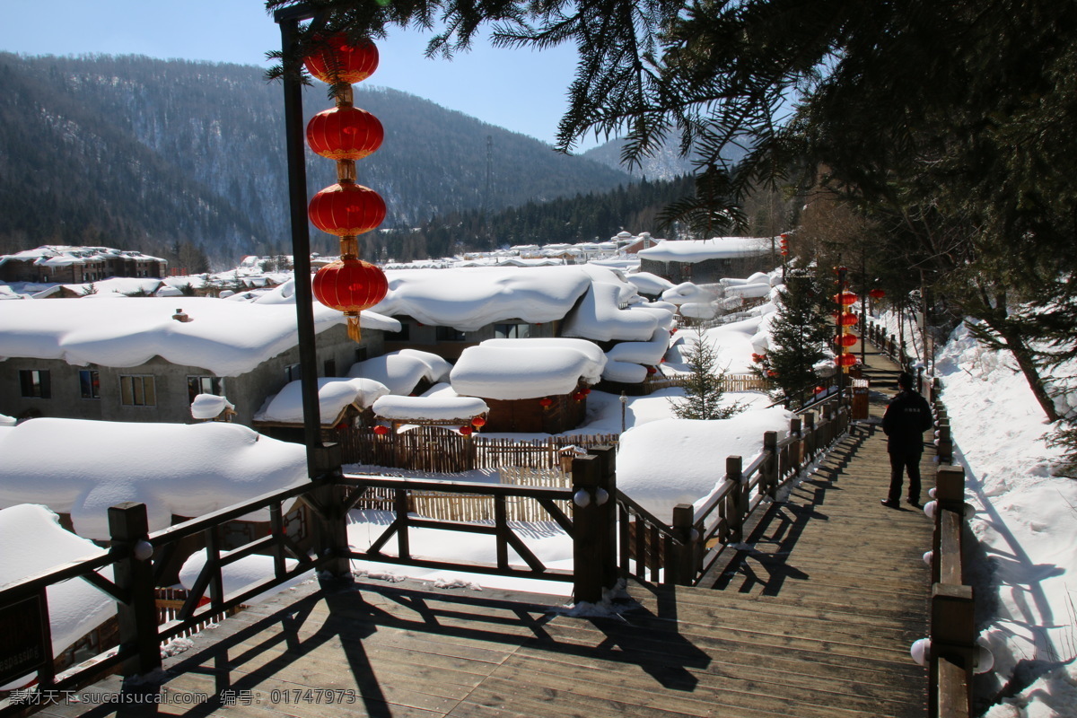 雪景 白色 中国雪乡 照片 美景 风景 旅游摄影 国内旅游