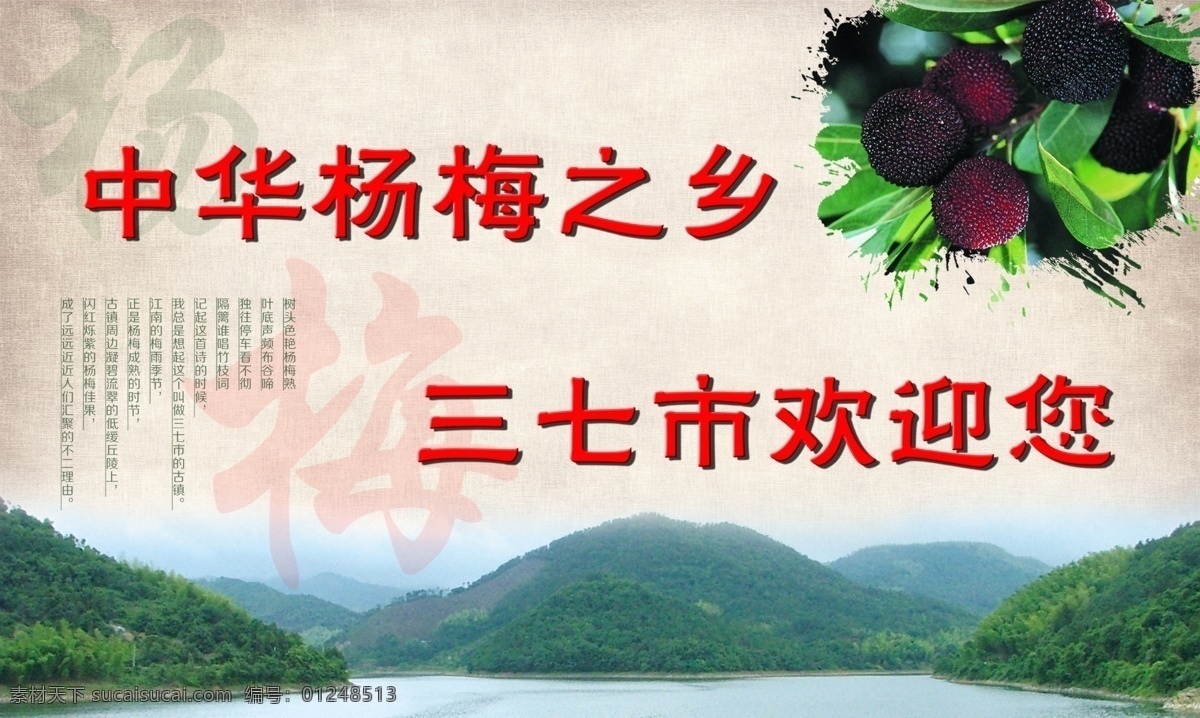 杨梅古风展架 杨梅 古风 宣传 展架 水果 乡村 展板 展板模板