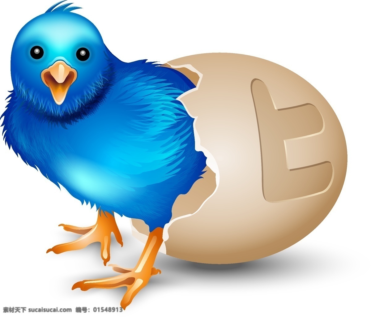 蛋孵出鳥 鳥 蛋 破蛋 藍色 鸟类 生物世界 矢量