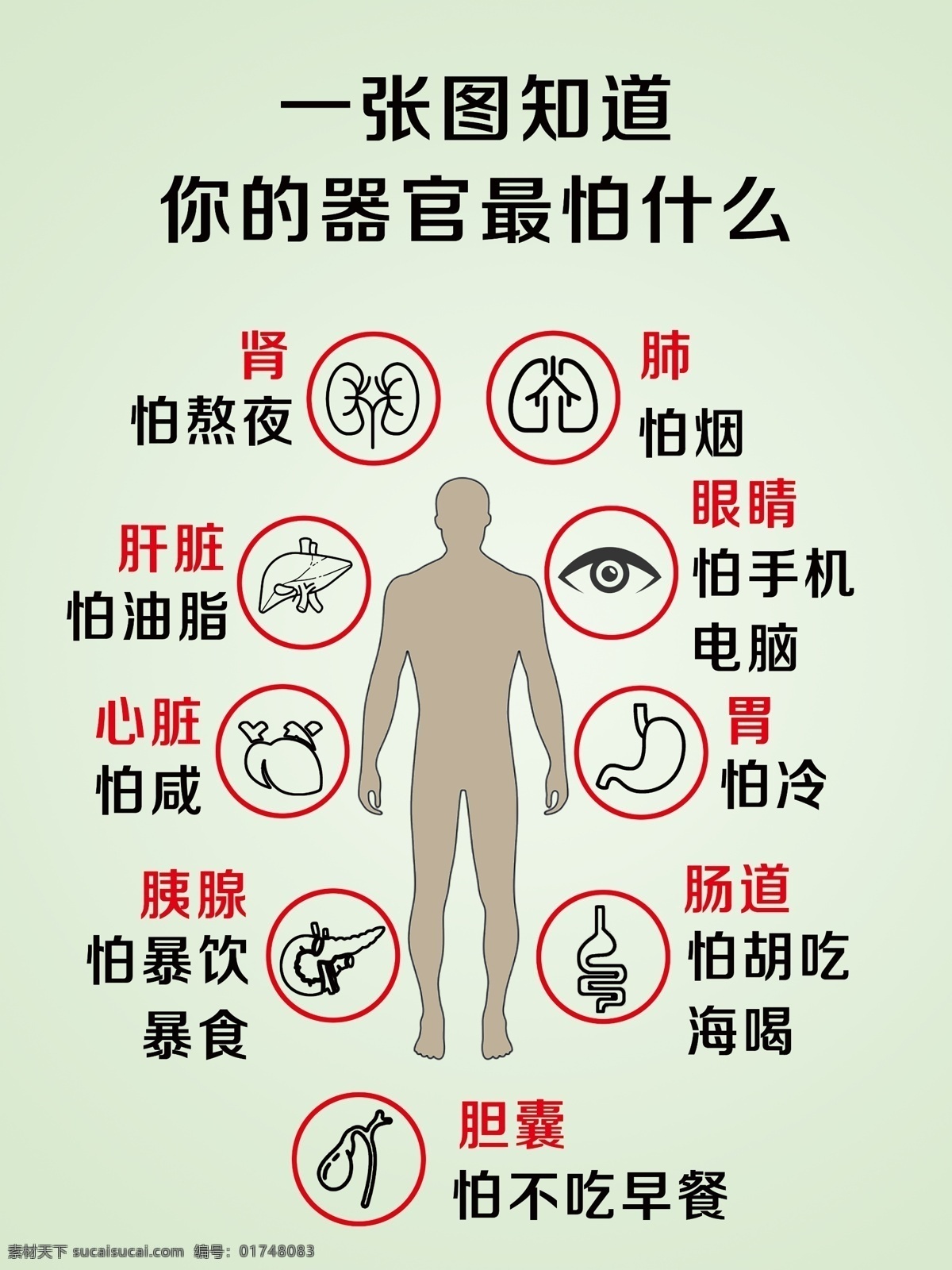 器官 最 怕 什么 宣传画 最怕 肾 肺 脾胃 肠道